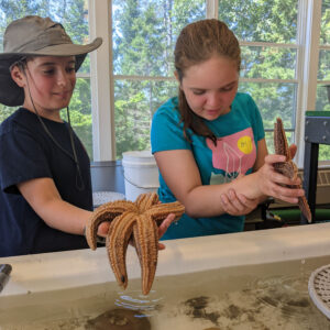 two children hold sea stars over touch tank at marine facility