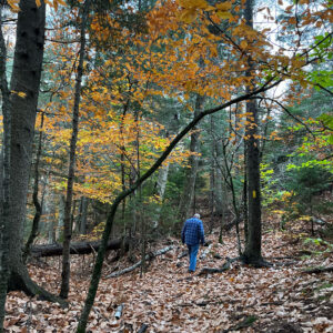 man walks along leaf covered trail