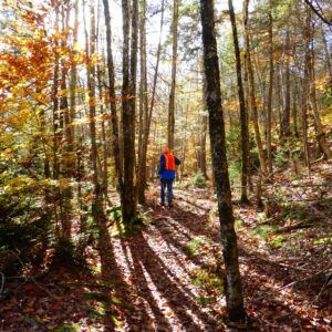 man walks on leaf covered trail in orange vest