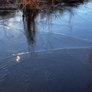 thin ice formed on smooth surface of pond