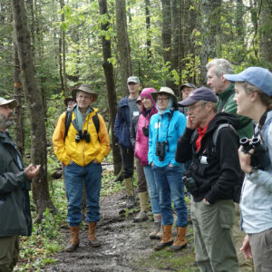 group of birders listen to guide