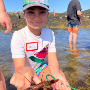girl holds up baby lobster in tidepool
