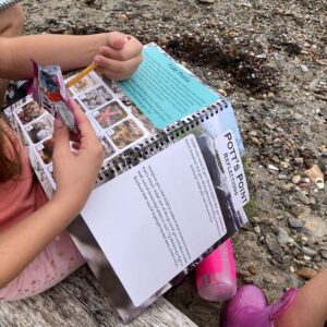 child sits with Junior Ranger guide book at the beach