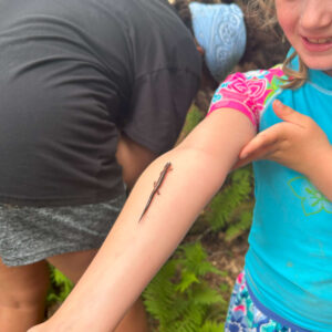 child smiles as salamander climbs her arm