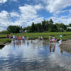 children walk through tidal water at beach