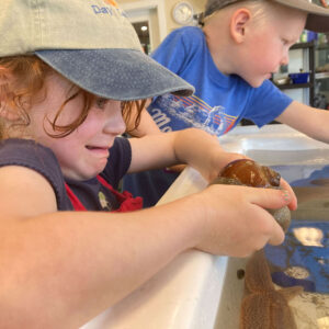 child squirms while holding moon snail