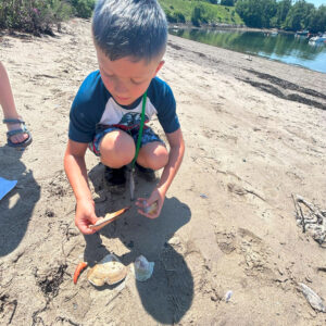 boy digs in sand at beach