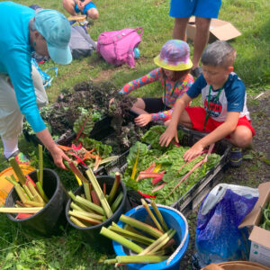 children harvest swiss chard at community garden