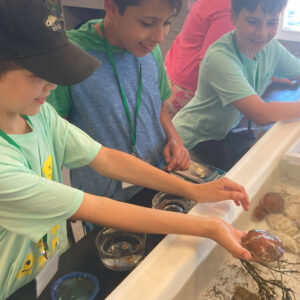 children at touch tank hold scallop