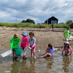 children play at edge of water
