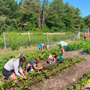 children planting at community garden