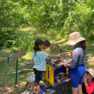 children play at forest playground