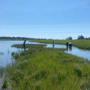 children explore marsh