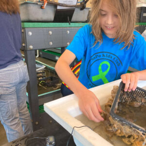 child smiles reaching hand into touch tank