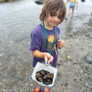 boy holds up net full of shells