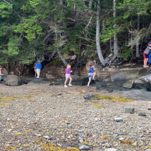 children explore beach at edge of forest