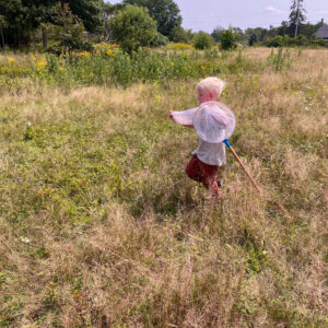 child in field holding butterfly net