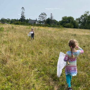 children holding butterfly nets in field