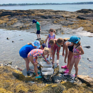 children crowd around collection bucket at edge of tidepool