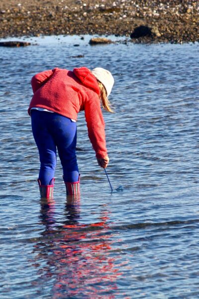 child in red coat dips net in tide pool