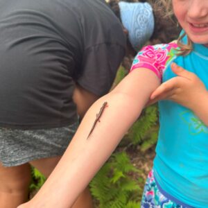 salamander climbs child's arm