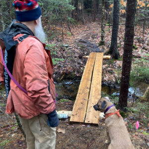 man and dog stand facing new bog bridge on trail