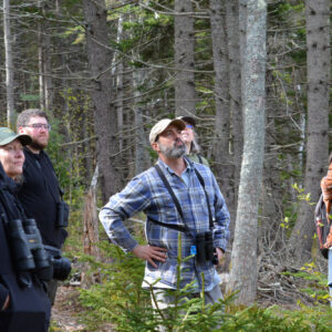 group of people look up standing along trail