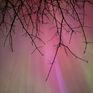 pink aurora in sky