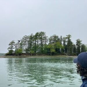 person wearing hat faces away from camera toward island