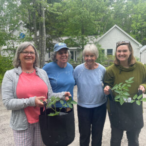 four women stand holding potted plants