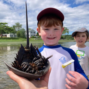 child smiles next to hand holding horseshoe crab