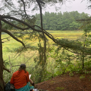 a person sits next to a tree and draws the marsh beyond