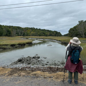 woman stands facing marsh from bridge