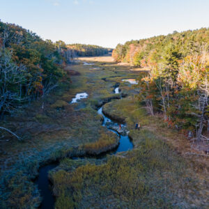 aerial view of marsh among trees in the shade