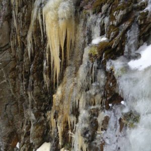 yellowing dripping ice formation
