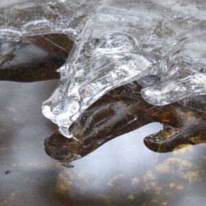 close up of ice formation looks like bird drinking