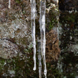 long hanging icicles