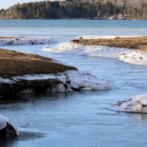 ice along edges of marsh
