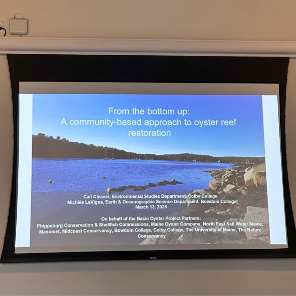 introduction slide from oyster lecture