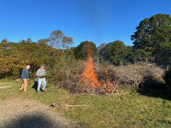 people gather around managed brushfire