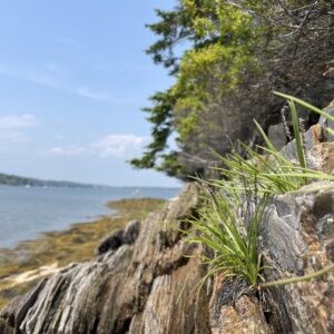 rocks in front of beach scene
