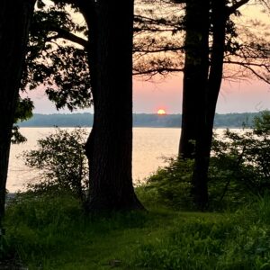 trees in front of water with sunset