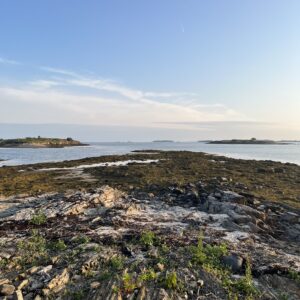 Rocky shoreline