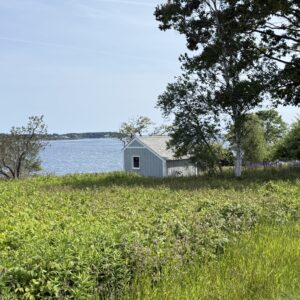 Shoreline with house