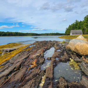 Rocky shore