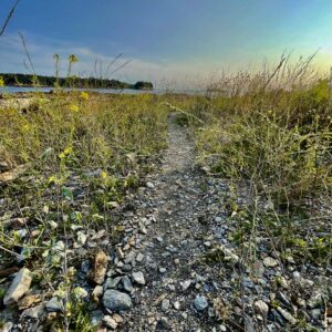 Rocky path