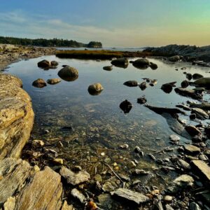 Tidepools
