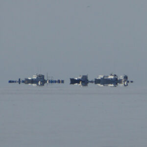 Boats on the ocean