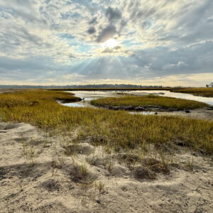 Sandy & grassy beach
