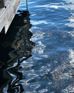 Dock on the ocean